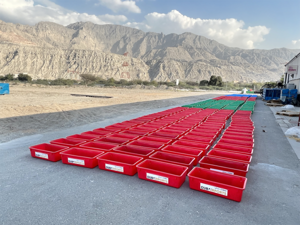 Airport Baggage Trays